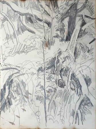 Fallen Tree, castle Eden Dene