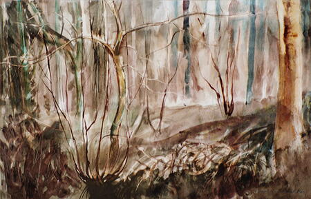 Hazel Coppice, Winter, Castle Eden Dene