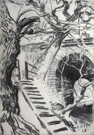 Derwent Viaduct and Trees