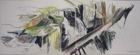 Hareshaw Linn, fallen tree