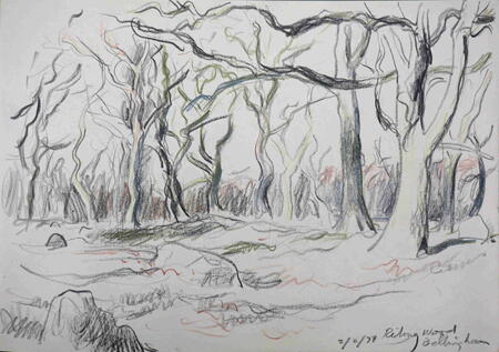 Riding Wood, Bellingham