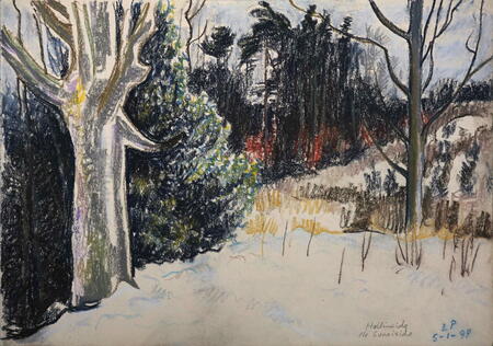 Hollinside near Sunniside, Derwent Valley