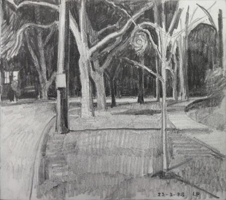 Approaching Derbyshire, Cleveland Heights, Ohio