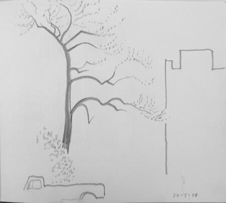 Blossom Tree March 1998 Cleveland Ohio 