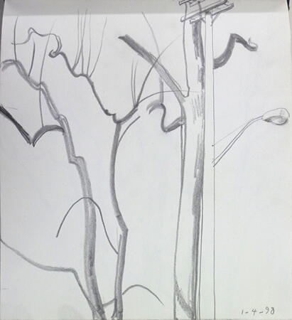 Trees and Street Lamp, Cleveland Heights, Ohio