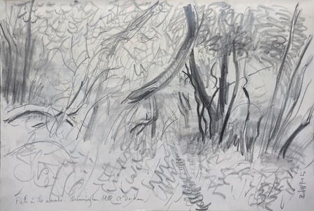 Path in a Wood, Quarrington Hill, County Durham