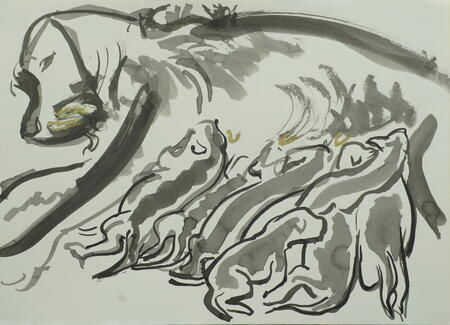 Lola and her 9 puppies