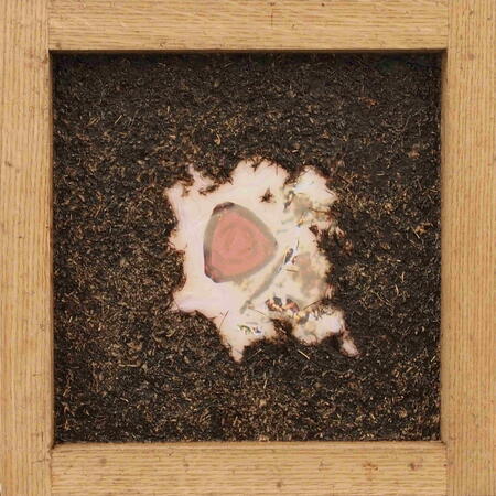 laser print of birch (betula pendula) pollen grain from peat core extracted from Wolf Crag Moss, Cumbria and photographed laboratory microscope. This has been preserved in resin and collaged into peat bog grass pulp set in an oak paper making frame and po