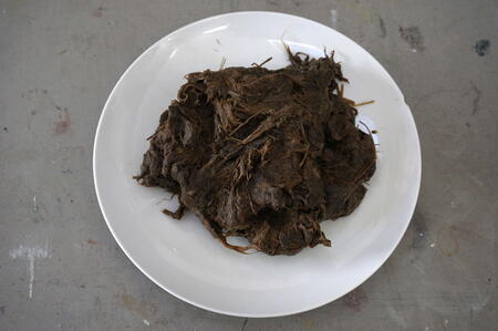 Cooked grass before mashing, straining, bleaching and casting
