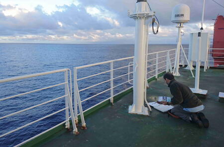 Painting at dawn in the tropics. Photo credit Sabine Schlacke