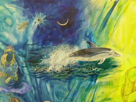 Dolphins, the moon and stars of the southern hemisphere, dinoflagelate plankton.