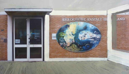 Visualisation of final design installation in the new Blue House Museum of the Ocean, Helgoland.