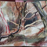 Woodland, Castle Eden Dene