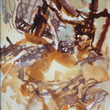 Woodland understory, Castle Eden Dene