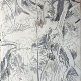 Fallen Tree, castle Eden Dene