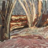 Ash Poles and Carcass