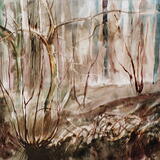 Hazel Coppice, Winter, Castle Eden Dene