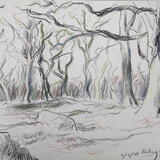 Riding Wood, Bellingham