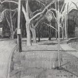 Approaching Derbyshire, Cleveland Heights, Ohio