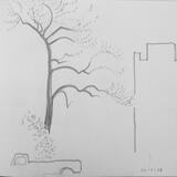 Blossom Tree March 1998 Cleveland Ohio 