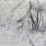 Path in a Wood, Quarrington Hill, County Durham