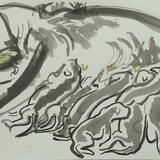 Lola and her 9 puppies