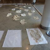 Laying out the paper clouds prior to installation, Bridgewater Hall Manchester