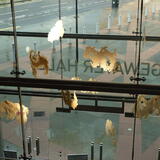 Bridgewater Hall main entrance vestibule with 'Host' installation 2016