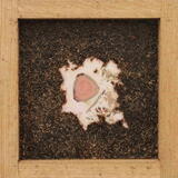 laser print of birch (betula pendula) pollen grain from peat core extracted from Wolf Crag Moss, Cumbria and photographed laboratory microscope. This has been preserved in resin and collaged into peat bog grass pulp set in an oak paper making frame and po