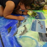 A scientist painting dolphins in her spare time.