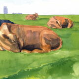 City Cows: Newcastle Town Moor