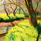 Willowing: Springtime in the Twizell Burn Woods