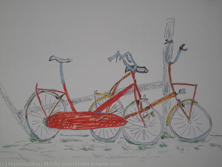 French Bicycles
