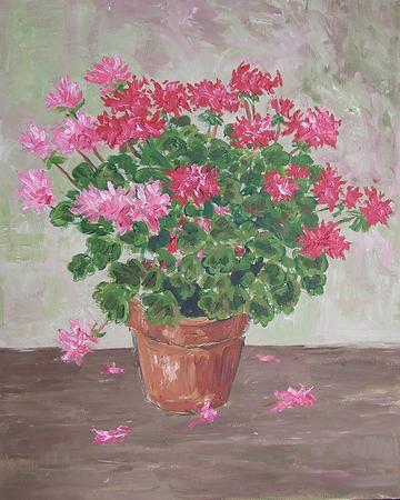 red and pink flowers in pot