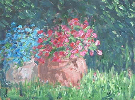 red and blue flowers in pots