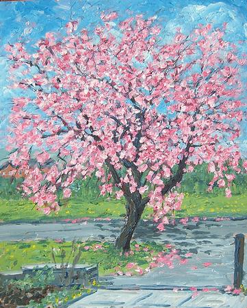 blossom tree, standish