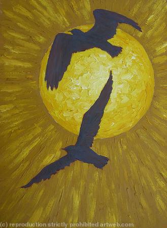 gulls against the sun