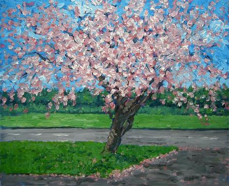 blossom tree, standish