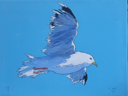 gull #6