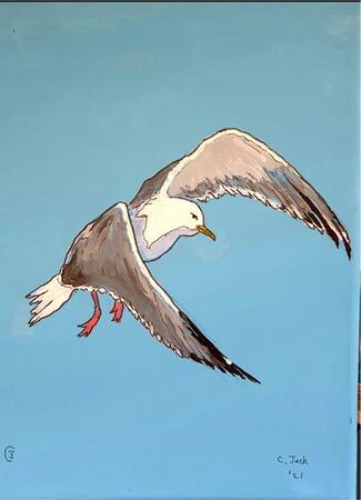 seagull #9