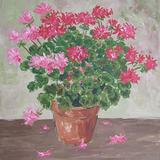 red and pink flowers in pot