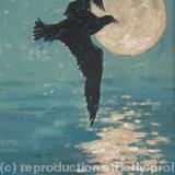 gull against reflected moon I