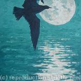 gull against reflected moon II