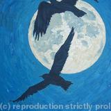 gulls against the moon