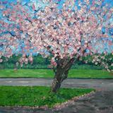 blossom tree, standish