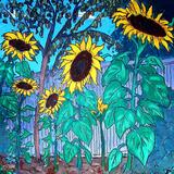 sunflowers in daughter's garden