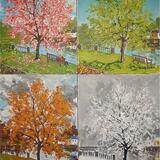 a tree for all seasons