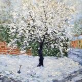 snow tree