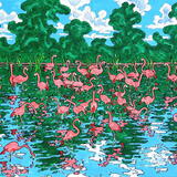 flamingos