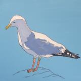 gull #2